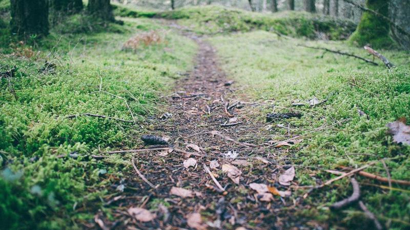 Featured image for Agntwork Com article