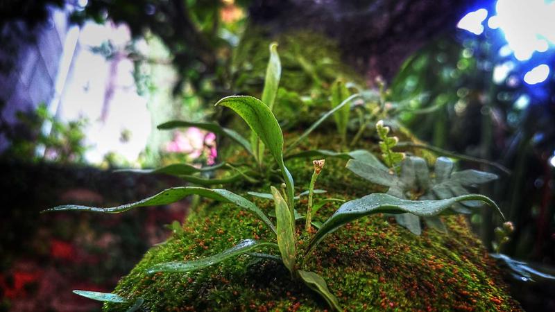 Featured image for Agntwork Com article