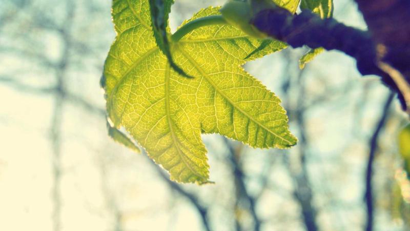 Featured image for Agntwork Com article