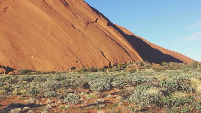 Featured image for Agntwork Com article