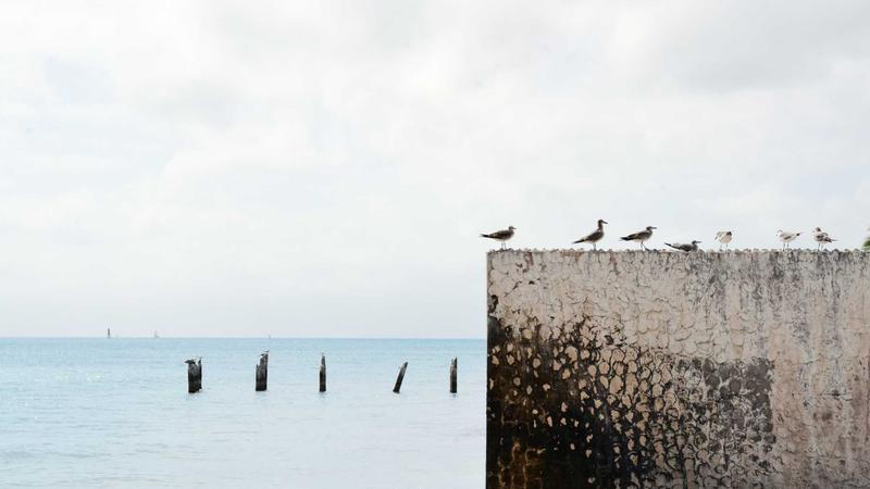 Featured image for Agntwork Com article