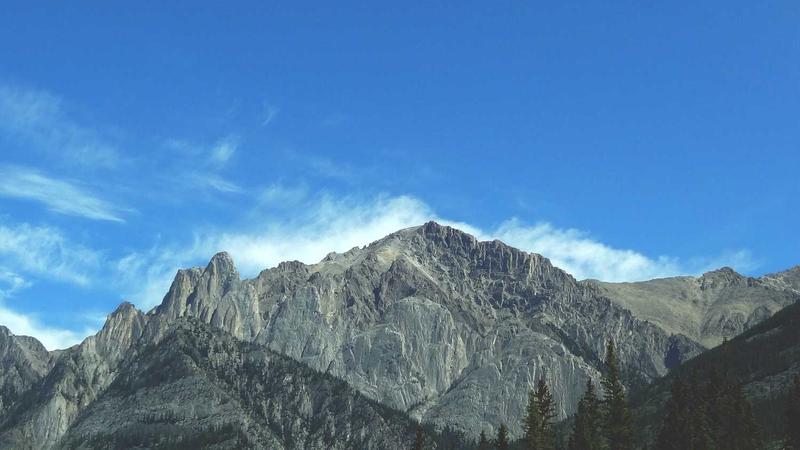 Featured image for Agntwork Com article