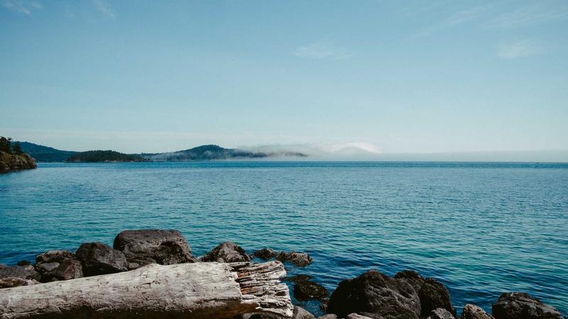 Featured image for Agntwork Com article