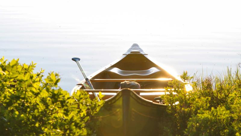 Featured image for Agntwork Com article