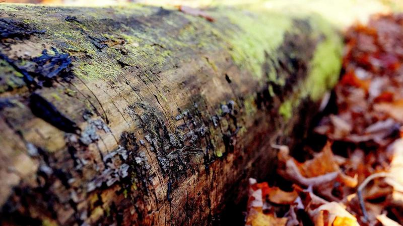 Featured image for Agntwork Com article