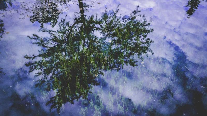 Featured image for Agntwork Com article